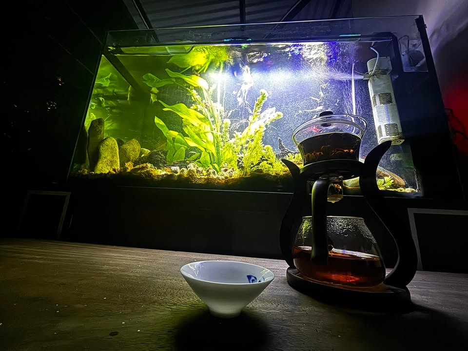 Đất Farm 3 mặt tiền Mỹ Đức 400m² thổ cư giá 3,5 tỷ - Cơ hội đầu tư lý tưởng!