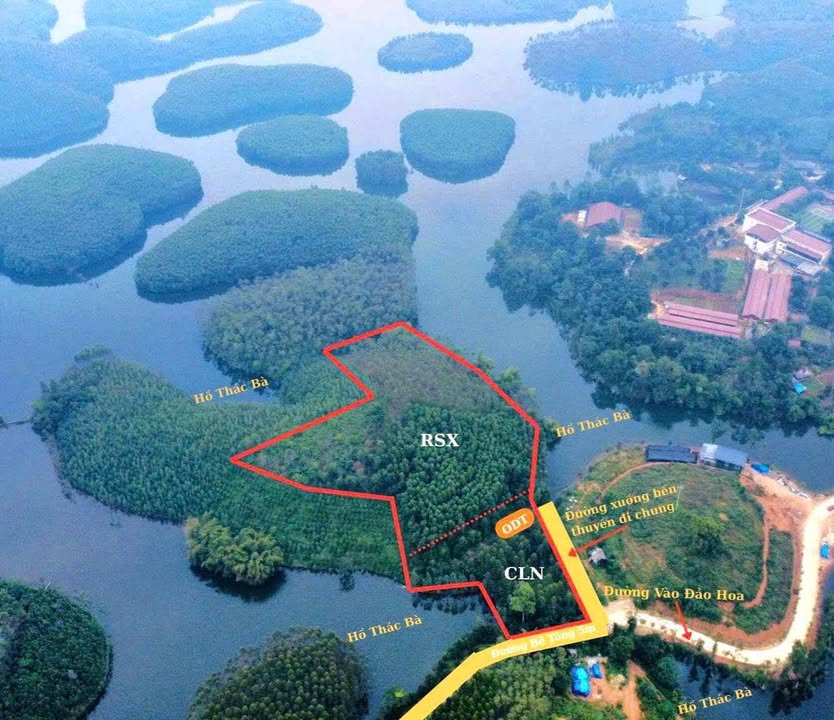 Đất nền Farm tại xã Yên Bình, Yên Bái 15.000m² giá chỉ 2 tỷ - Cơ hội đầu tư hấp dẫn!