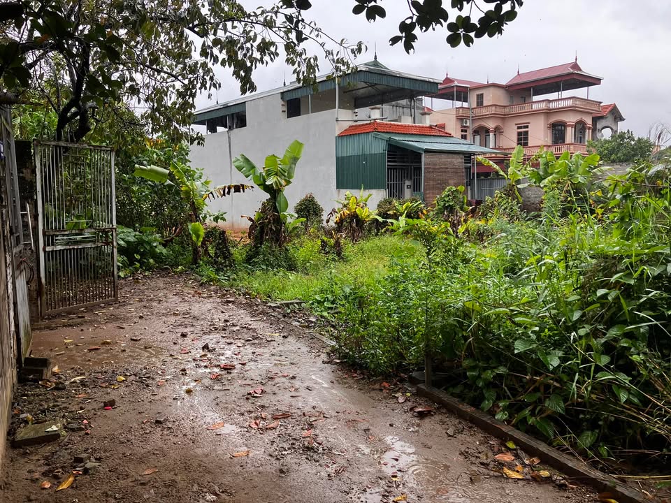 Đất nền Hồng Vân Thường Tín 50m² giá 3 tỷ - Đầu tư tiềm năng sinh lời nhanh!