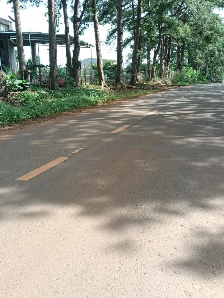 Đất nền 500m² Tân Hà Lâm Hà giá 2.3 tỷ - Đường nhựa đẹp, khu dân cư đông đúc!