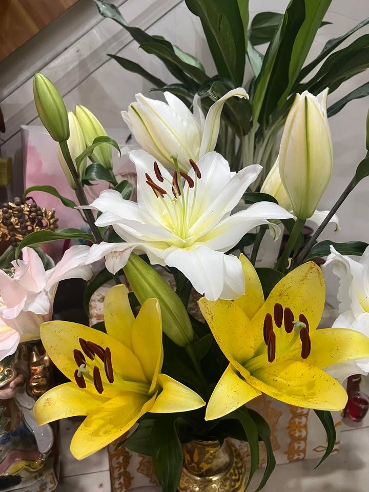 Căn hộ 67m² đường 182, Tăng Nhơn Phú A, 6.2 tỷ - Đang cho thuê full nội thất!