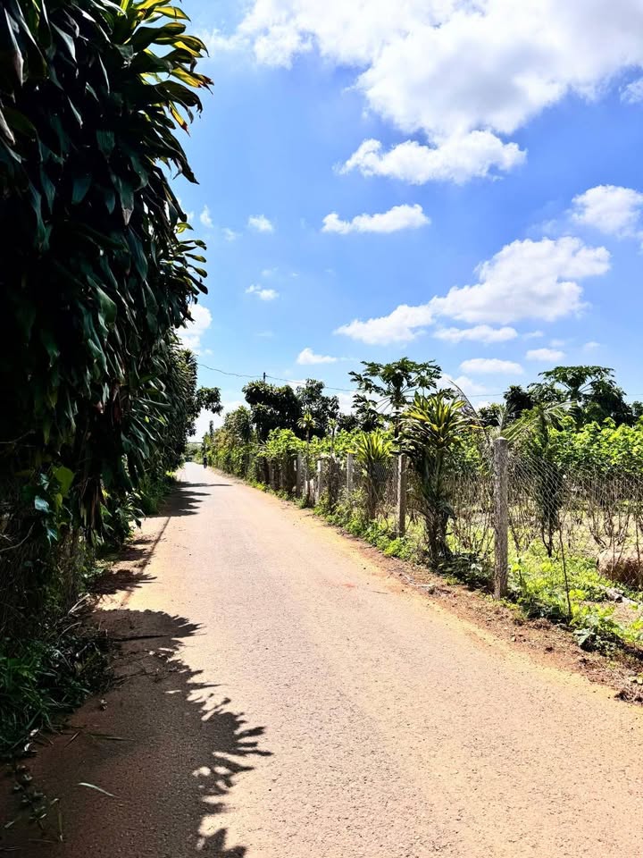 Đất thổ cư 500m² Hẻm 89 Phùng Hưng, Bảo Lộc - Giá 180 triệu, thương lượng chính chủ!