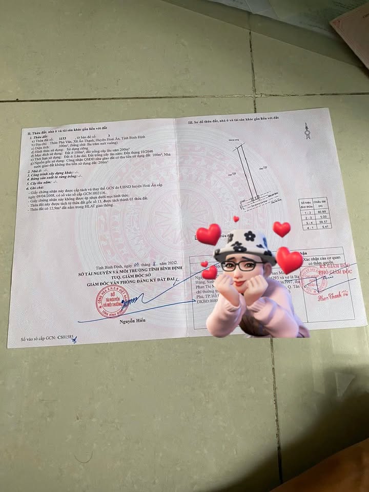 Đất thổ cư Ân Thạnh, Hoài Ân 300m² giá 800 triệu - Đầu tư sinh lời ngay!