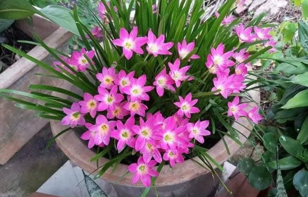 Đất nền Ninh Sơn, Hoa Lư 120m² giá 4 tỷ - Đầu tư sinh lời ngay!