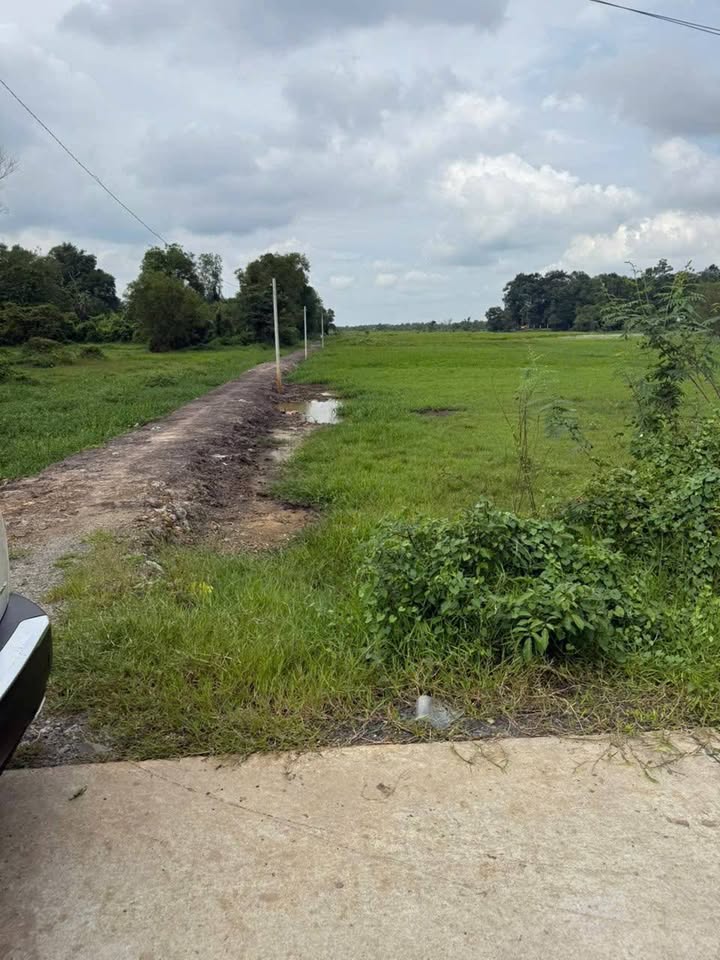 Đất vườn 4600m² tại Tân An Hội, Củ Chi giá 2.5 tỷ - Cơ hội đầu tư hấp dẫn!