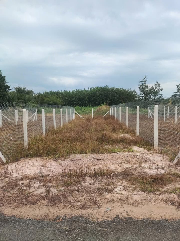 Bán đất thổ cư Hiệp Thạnh, Gò Dầu 115m² chỉ từ 200 triệu - Cơ hội đầu tư sinh lời!