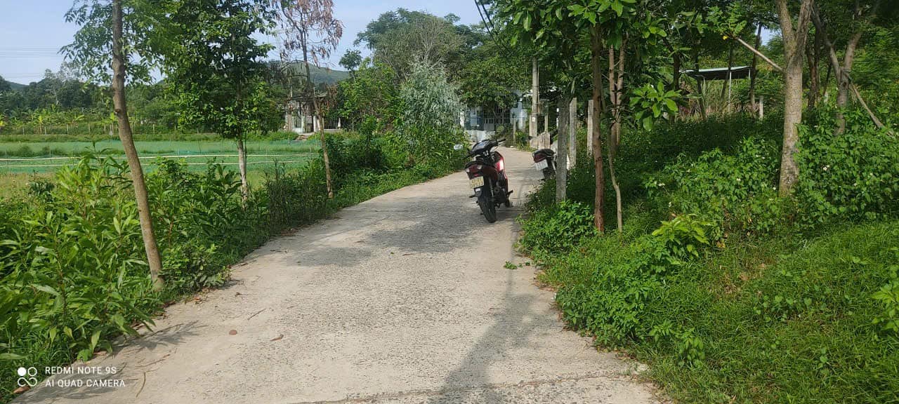 Lô đất thổ cư 654m² tại thôn Đại La, Đà Nẵng - Giá chỉ 3.7 tỷ, cơ hội đầu tư tuyệt vời!