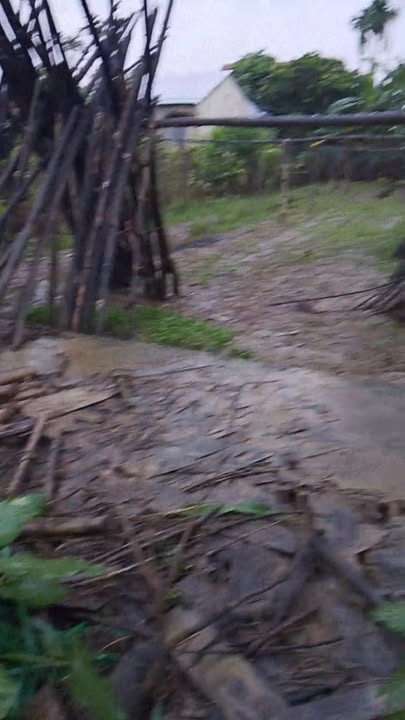 Đất nền Nam Phước, Duy Xuyên 126m² giá 350 triệu - Sổ hồng trao tay!