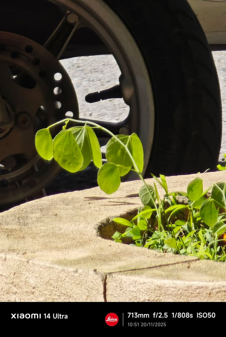 Đất nền chính chủ tại Mỹ Tân - 55m² giá chỉ 650 triệu - Đầu tư sinh lời ngay!