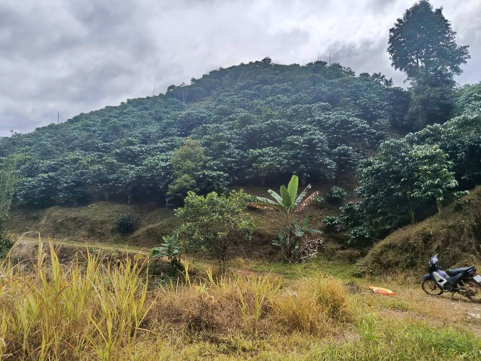 Đất nền Lộc Thành Bảo Lâm 20000m² giá chỉ 500 triệu - Cơ hội đầu tư tuyệt vời!