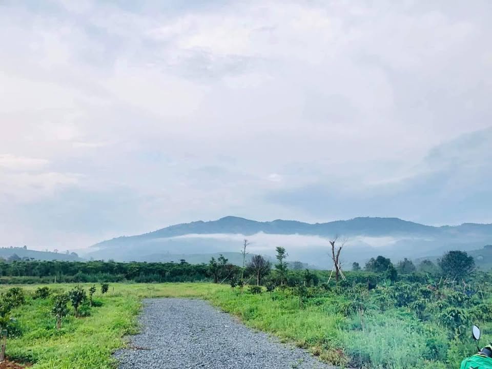 Đất nền chính chủ Lộc Châu 5496m² giá 6.4 tỷ - Tiềm năng đầu tư lớn!