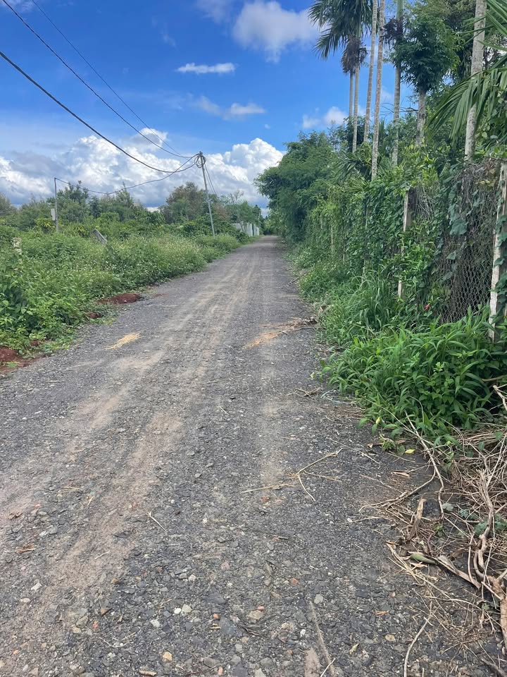 Đất nền Tân An Buôn Ma Thuột 1200m² giá chỉ 9xx triệu - Cơ hội hiếm có!