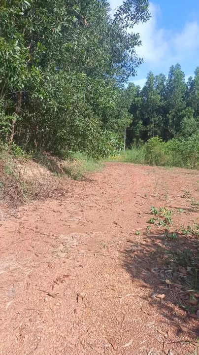 Đất nền Vĩnh An Vĩnh Cửu 10.000m² giá 4.5 tỷ - Cơ hội đầu tư lý tưởng!