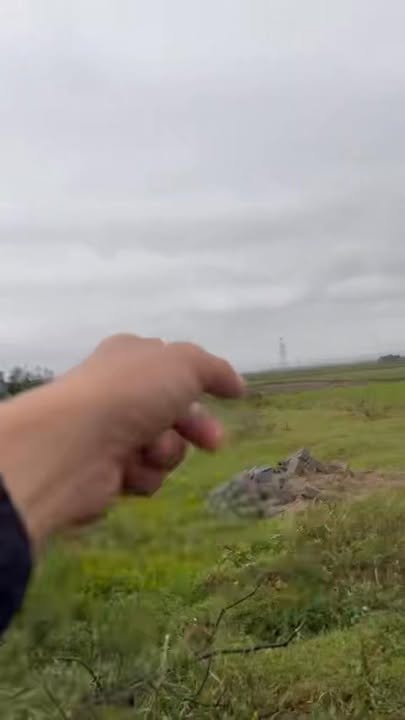 Đất nền góc 2 mặt tiền Lối 2 1A, Kỳ Văn 275m² giá 1.1 tỷ - Đầu tư sinh lời ngay!