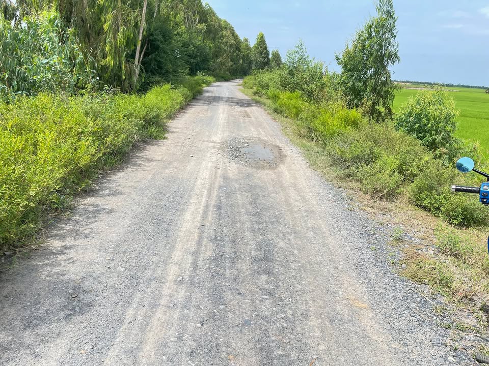 Đất nông nghiệp 3,600m² xã Tân Công Chí, huyện Tân Hồng - Cơ hội đầu tư hấp dẫn!