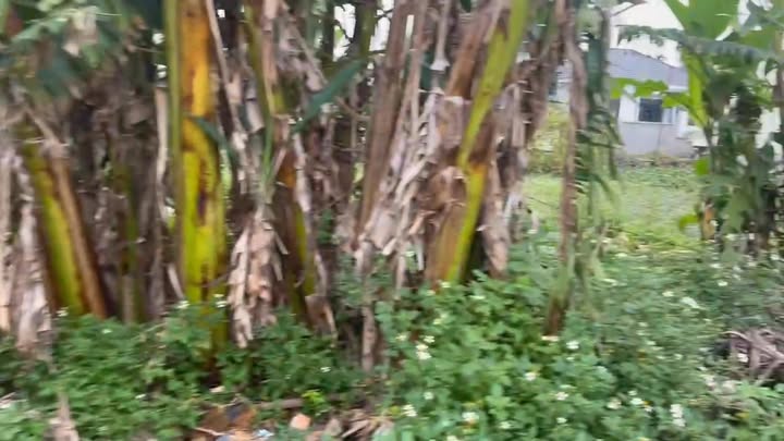 Đất kinh doanh mặt tiền 7m tại Sầm Sơn, Thanh Hóa - 1.3 tỷ, hướng Đông!