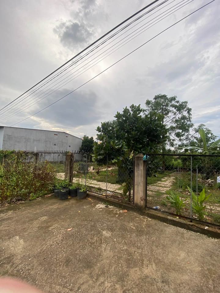 Đất nền Đồng Tiến, Đồng Phú 3400m² giá 1 tỷ - Đầu tư sinh lời ngay!