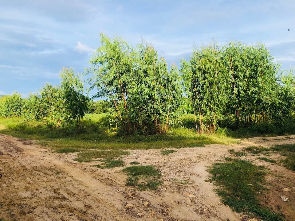 Bán đất mặt tiền đường Số 8, Tân Hà, Hàm Tân, Bình Thuận 2557m² - Lô góc 2 mặt tiền đẹp!