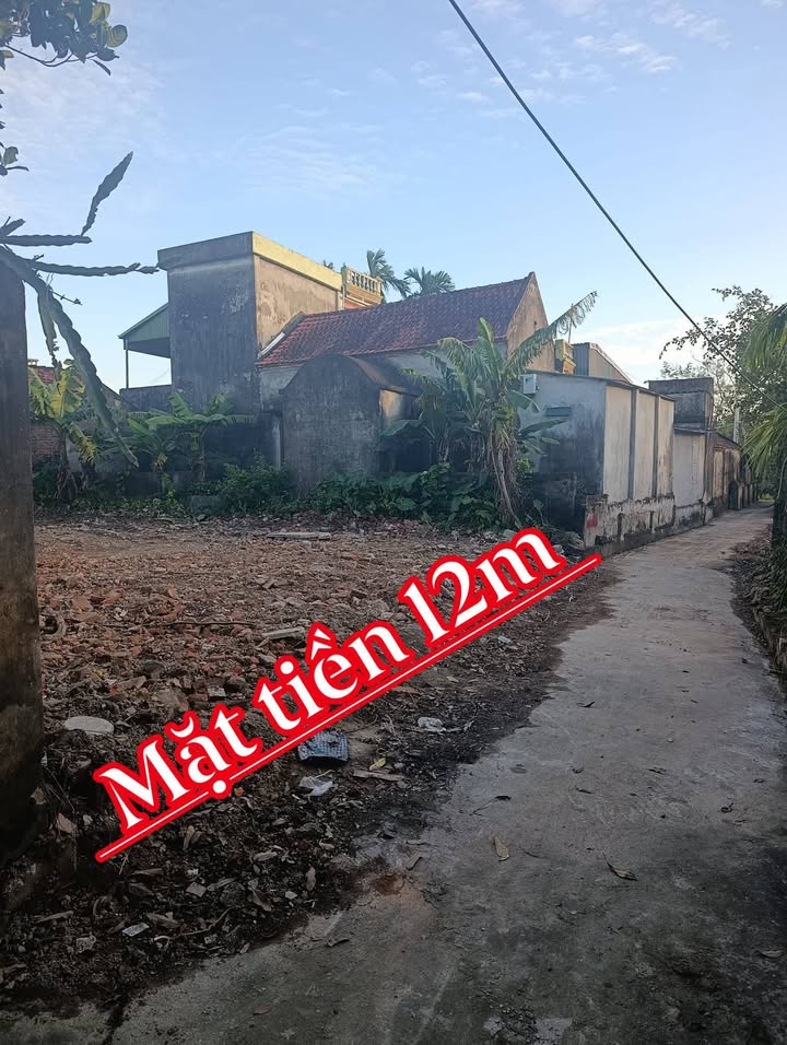 Đất chính chủ An Nội, Bình Lục 206m² - Gần KCN, Ô tô vào tận đất!