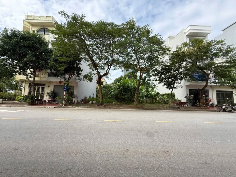 Đất nền Khu Đô Thị Vạn Lộc, Đường Tân Trào, 80m² - Vị trí kinh doanh đắc địa!