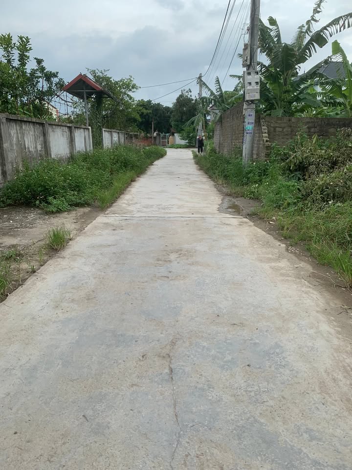 Đất nền đẹp tại Vũ Xá, Phường Ái Quốc, Hải Dương - 70m² sổ hồng chính chủ, giá thỏa thuận!