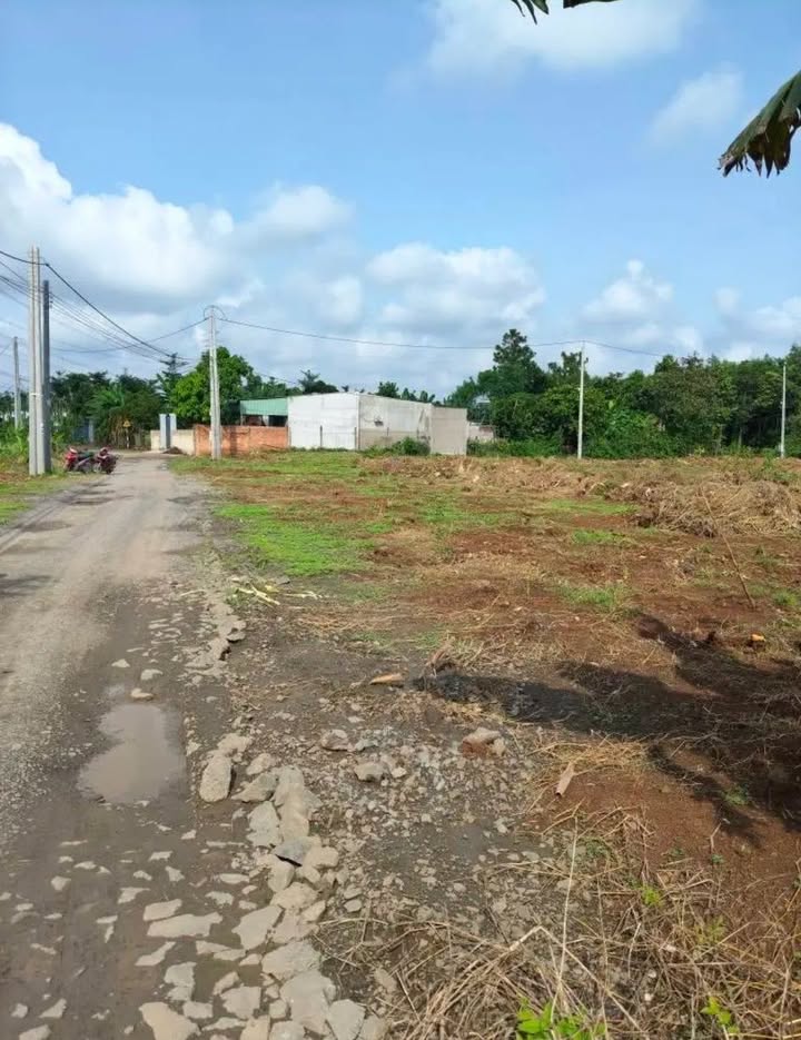 Đất nền 1000m² đường Nguyễn Hoàng, Trảng Bom - Giá chỉ 1.45 tỷ VND!