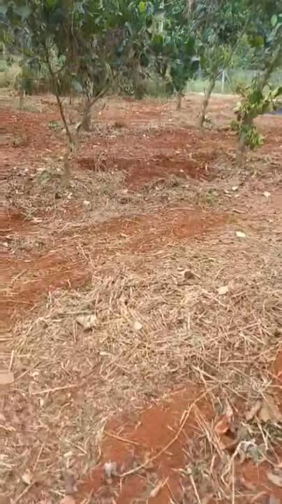 Đất nền Cẩm Mỹ Đồng Nai 3600m² - View hồ cực chill, đầu tư sinh lời!