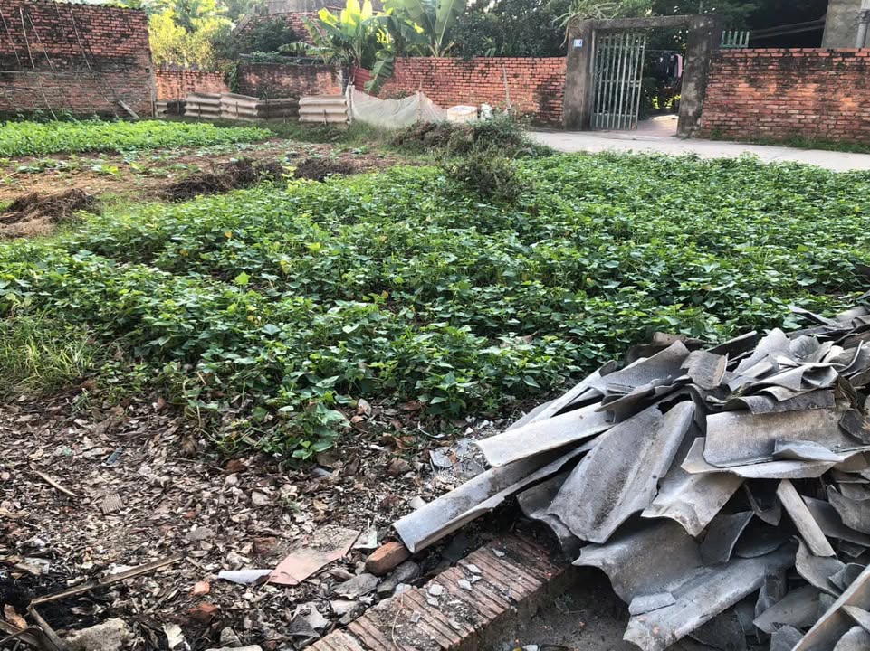 Đất nền Tiên Dược - Sóc Sơn 100m² giá 3 tỷ - Tiềm năng đầu tư cao!