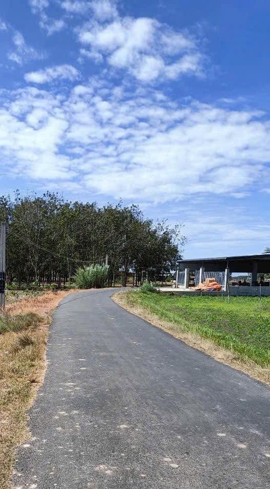 Đất thổ cư 200m² tại Đường DH14, Dương Minh Châu, Tây Ninh - Chỉ 5.76 tỷ, thương lượng tốt!