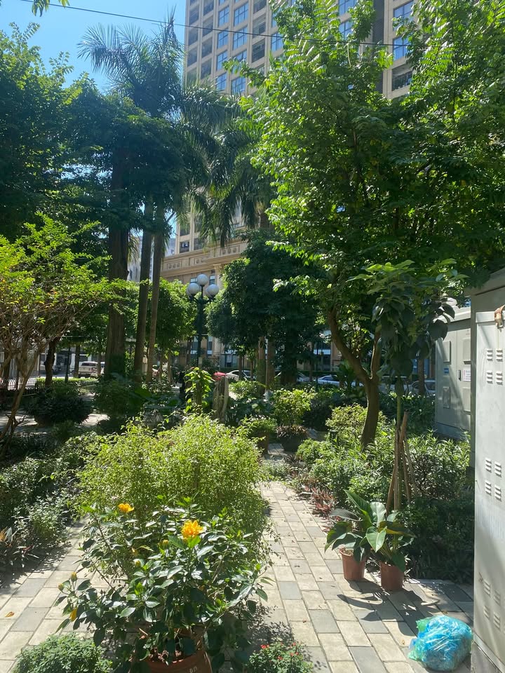 Đất nền Lạc Long Quân, Tây Hồ 283m² giá 141.65 tỷ - Sổ đỏ chính chủ, thương lượng ngay!