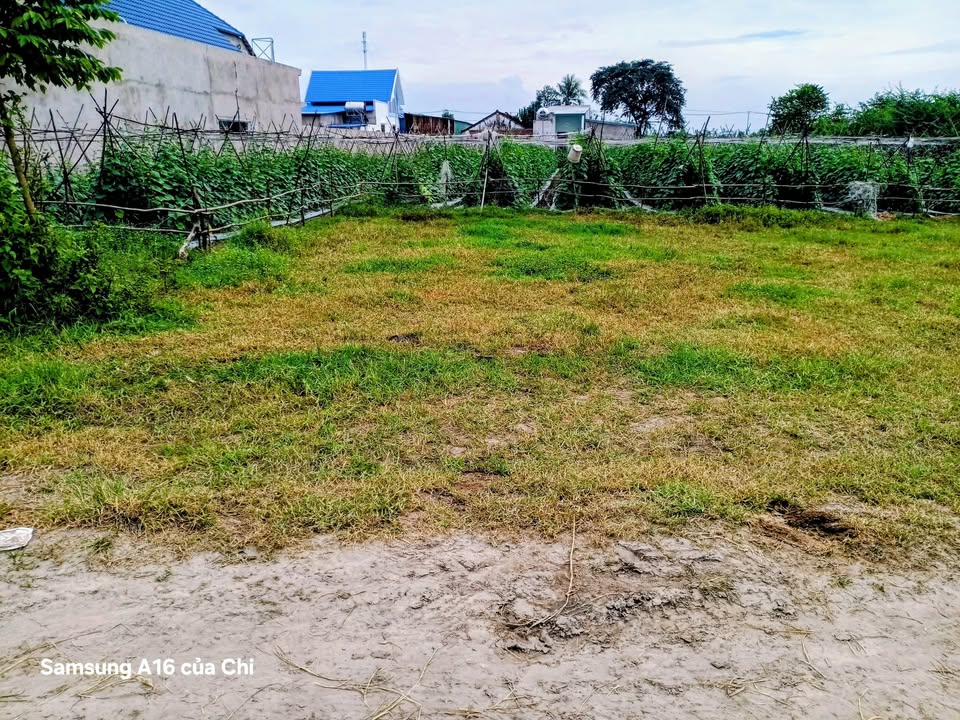 Đất nền Mỹ Hạnh Đức Hòa 1125m² giá 2.7 tỷ - Lô đất đẹp như tranh!