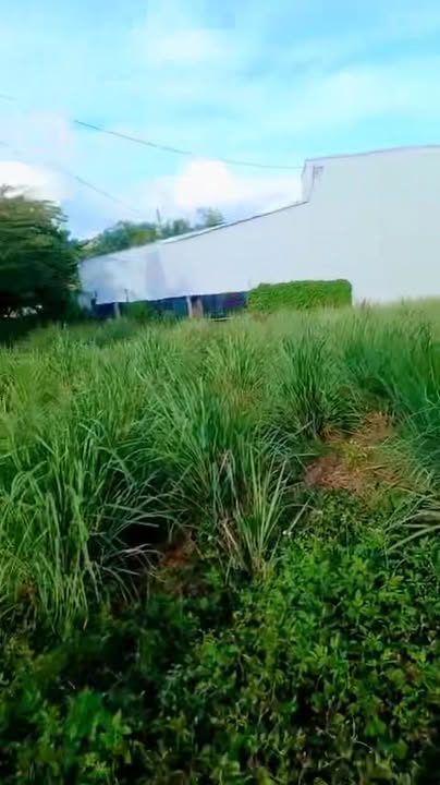 Bán đất mặt đường 667, xã Ya Hội, 152.5m² giá 1.1 tỷ - Đầu tư sinh lời ngay!