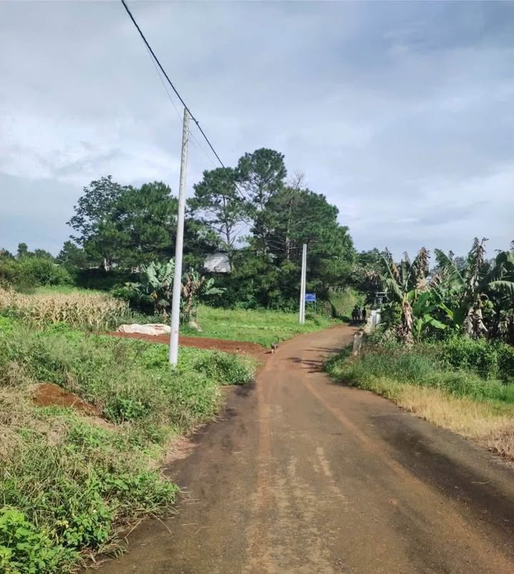 Lô đất Lộc Nga 306m² giá 1.05 tỷ - Gần trường lái Bá Thiên