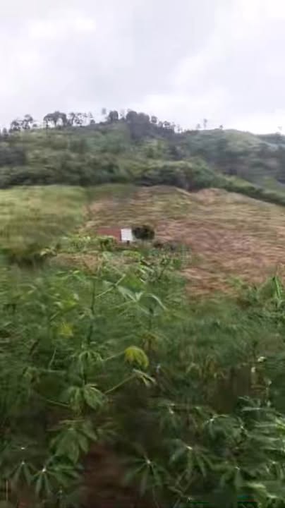 Đất nền 2.3 ha tại thôn 7 Đăk Tơ Lung, giá 500 triệu - Tiềm năng phát triển cao!