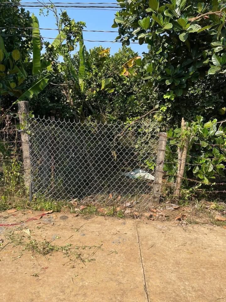 Đất nền Tân Phú 1000m² giá 600 triệu - Cơ hội đầu tư tuyệt vời!