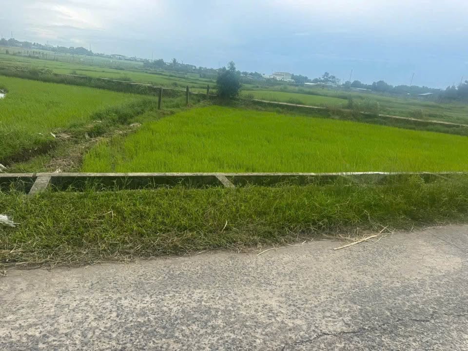 Đất Phước Thạnh Củ Chi 272m² giá 650 triệu - Mặt tiền nhựa, khu dân cư đông đúc!