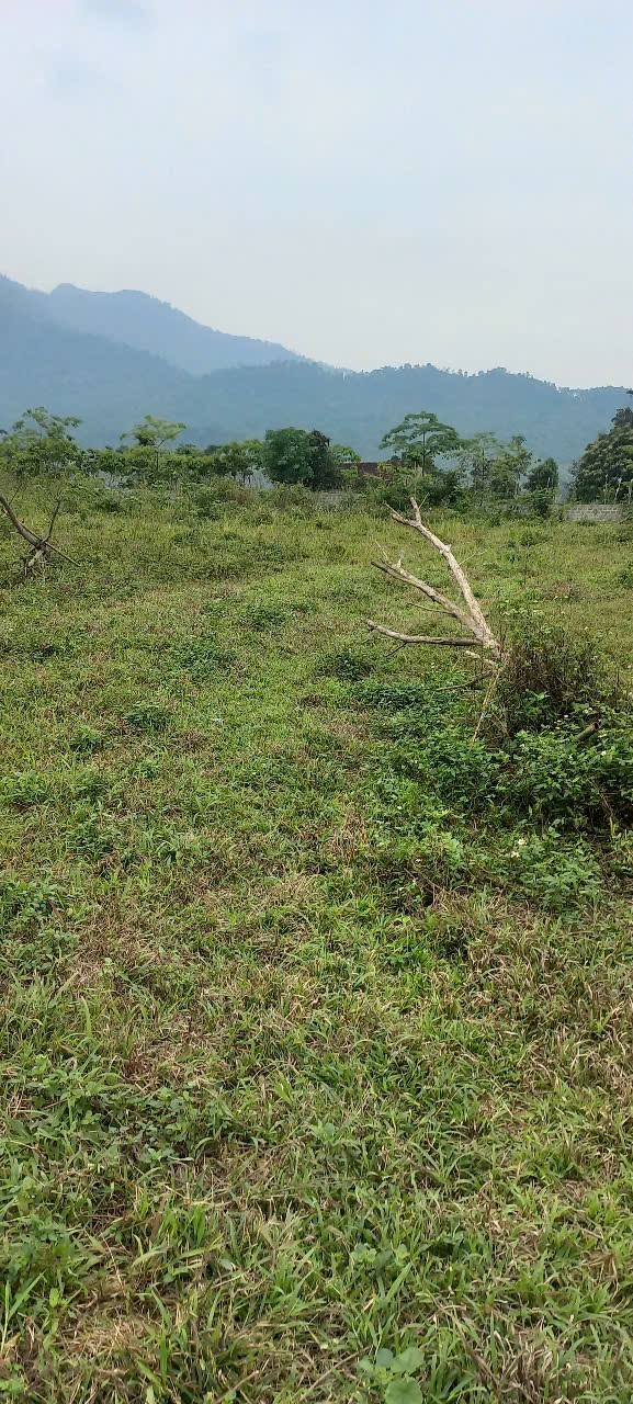 Nhà vườn nghỉ dưỡng Ba Vì 4.750m² giá 20 tỷ - Cơ hội đầu tư hiếm có!