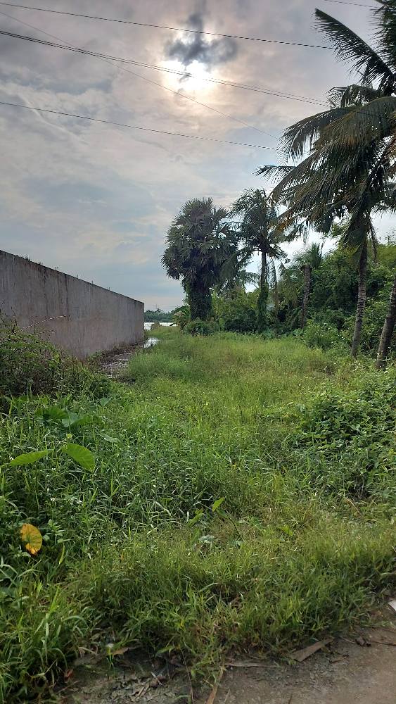 Đất nền 2625m² tại Ấp Sua Đũa, Châu Thành, Kiên Giang - Cơ hội đầu tư hấp dẫn!