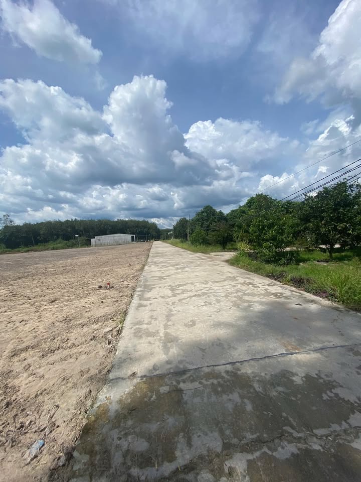 Đất nền tại KCN Minh Hưng Sikico 1000m² giá chỉ 320 triệu - Cơ hội đầu tư hấp dẫn!