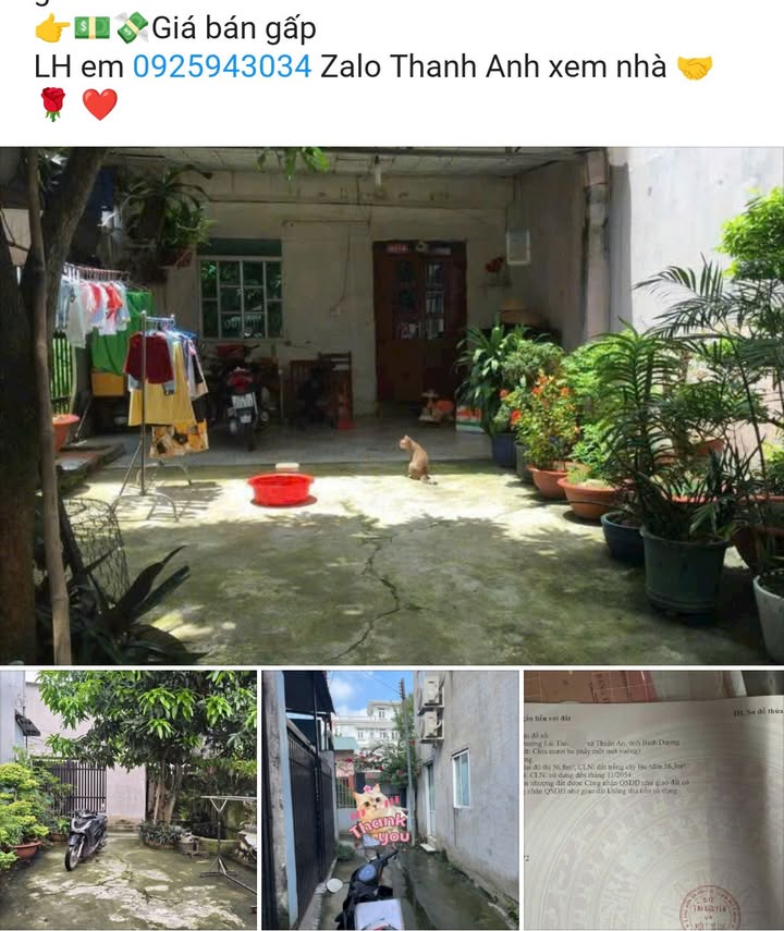 Nhà cấp 4 Lái Thiêu 93m² giá chỉ 2 tỷ - Cần bán gấp!