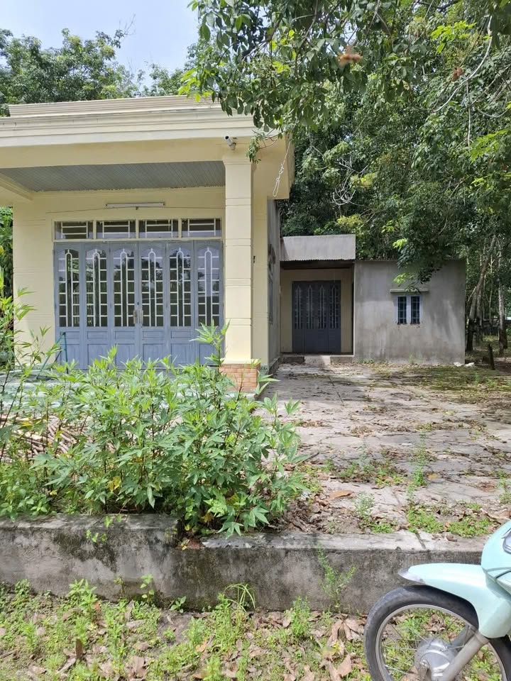 Đất thổ cư Bến Củi, Dương Minh Châu 12,000m² giá 490 triệu - Cơ hội đầu tư tốt!