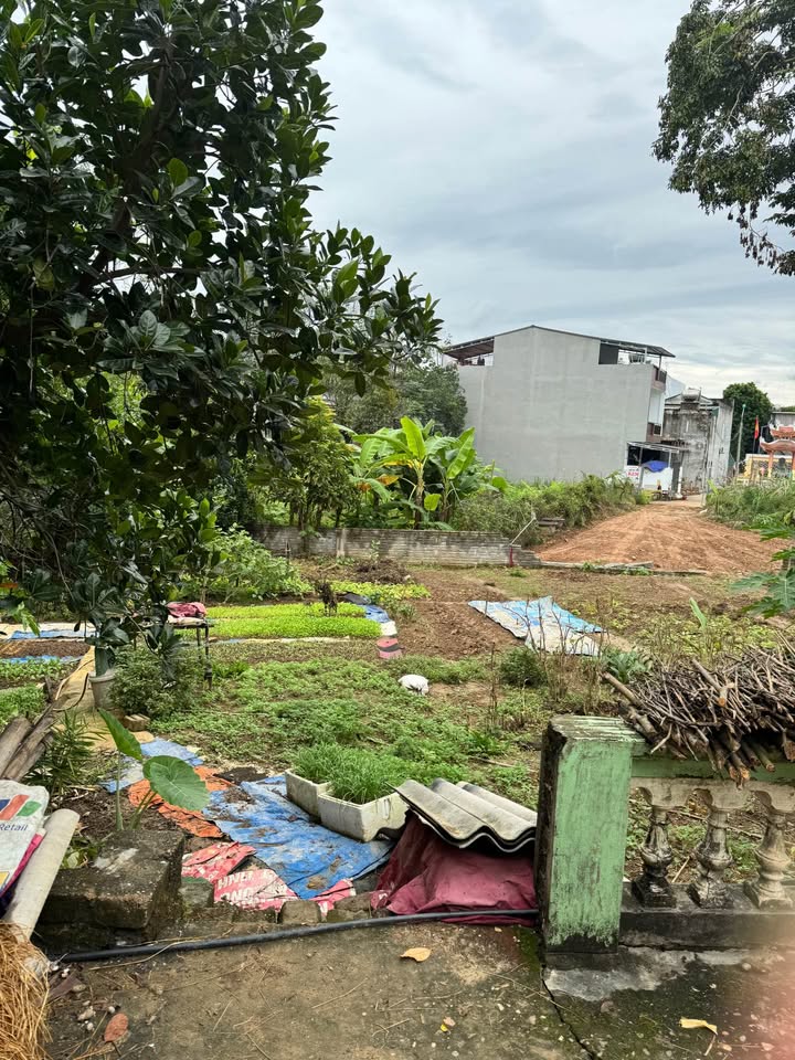 Đất nền Tân Hà, Tuyên Quang 200m² giá 2 tỷ - Chính chủ bán gấp!