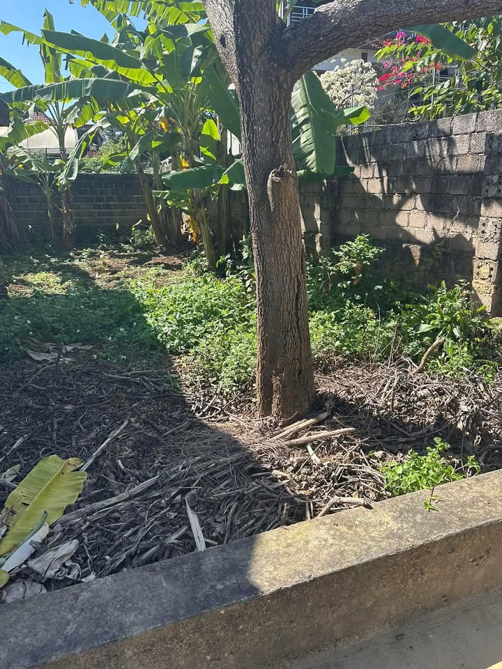 Đất thổ cư Mộc Châu 110m² giá 1.9 tỷ - Cơ hội vàng đầu tư!