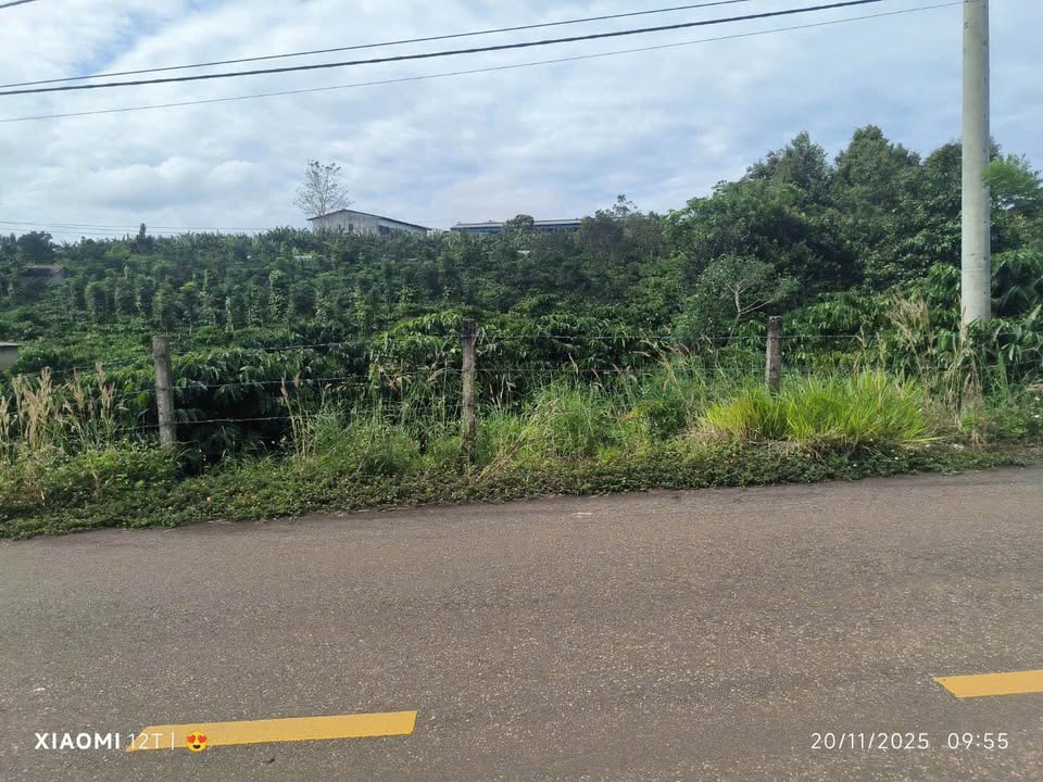 Đất thổ cư Bảo Lộc 5 xào giá 20 tỷ - Mặt tiền Nguyễn Tri Phương, gần trung tâm!