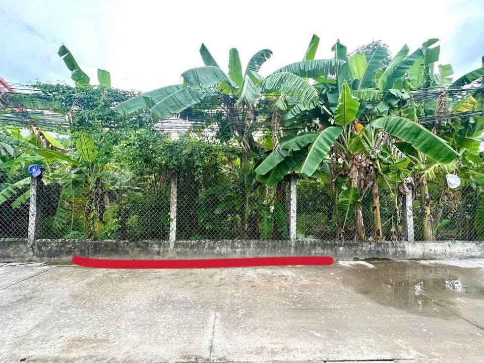 Đất thổ cư 125m² Hẻm 239 Nguyễn Văn Rành giá chỉ 1 tỷ - Chính chủ bán gấp!