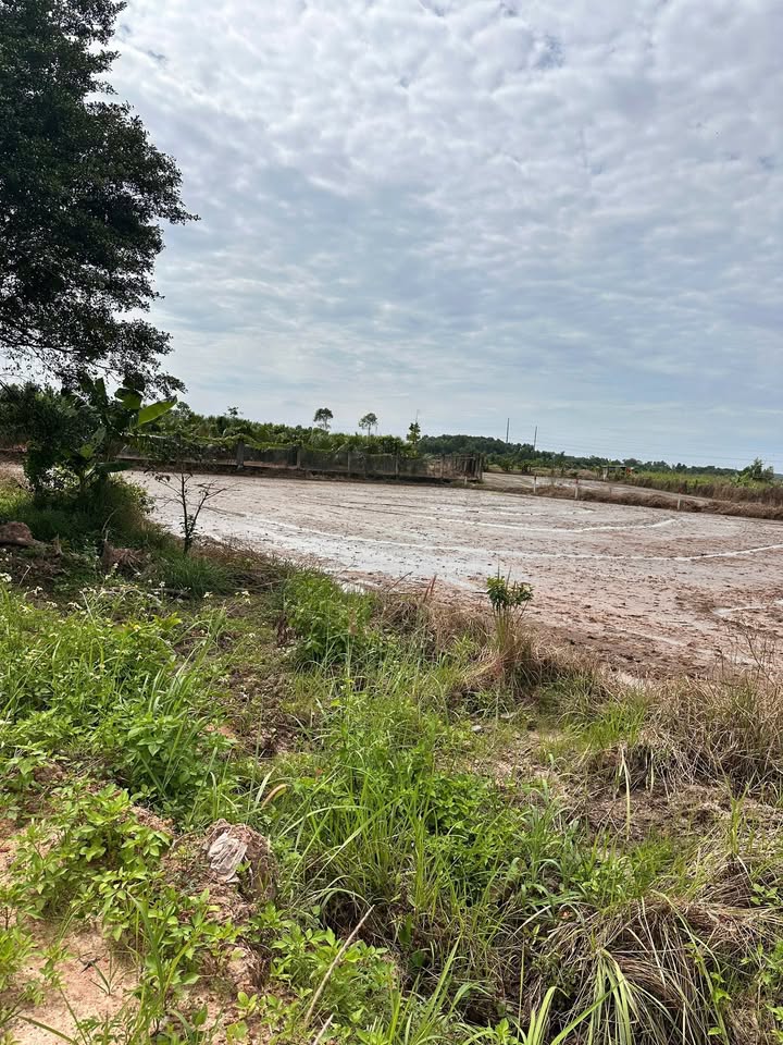 Đất vườn Củ Chi 1882m² giá chỉ 1.7 tỷ - Đường ô tô vào tận nơi!