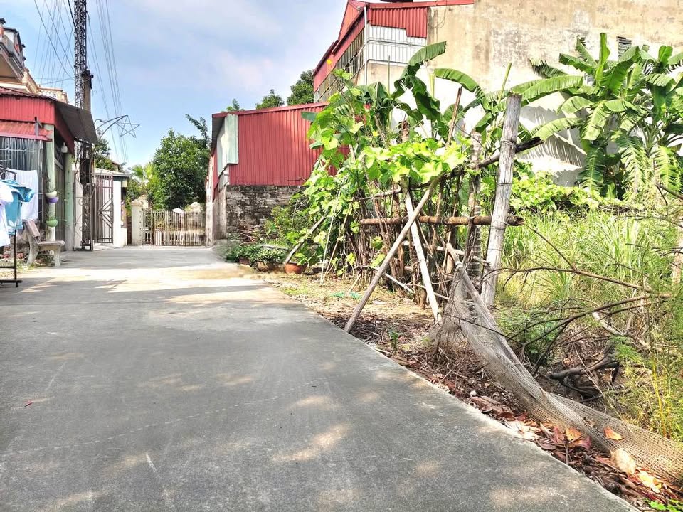 Đất thổ cư Cẩm Phúc, Cẩm Giàng 86m² giá thỏa thuận - Đường ô tô vào tận nơi!