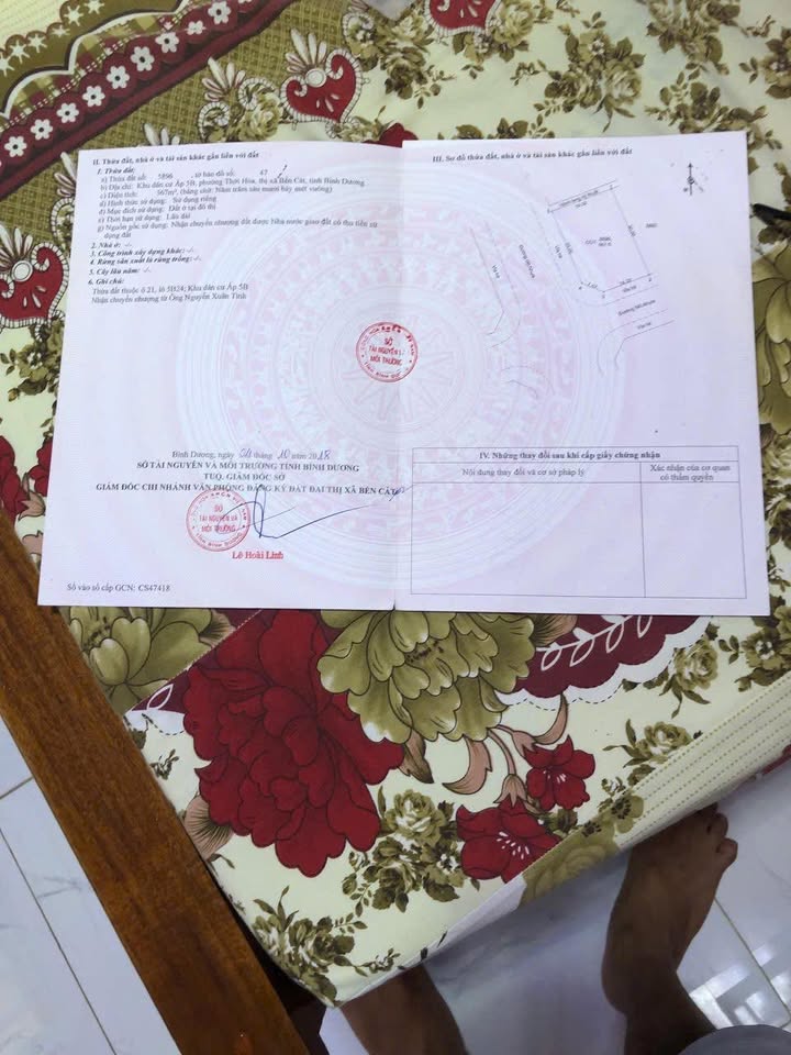 Đất Thới Hòa, Bến Cát 567m² giá 8 tỷ - Lô gốc full thổ cư