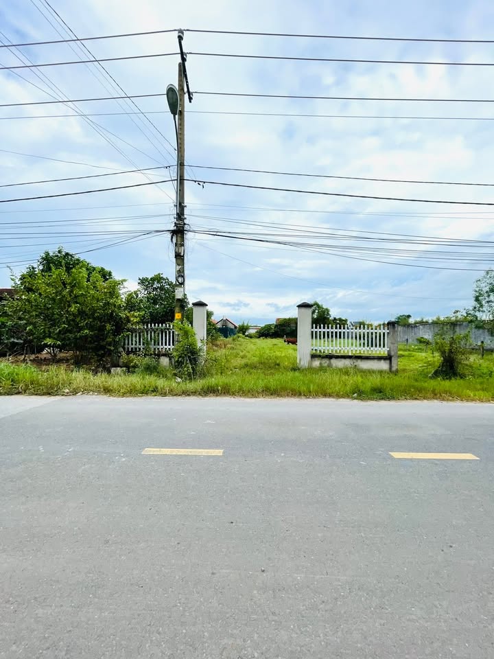 Đất thổ cư 870m² tại An Nhơn Tây, Củ Chi - Giá thỏa thuận, xây dựng tự do!