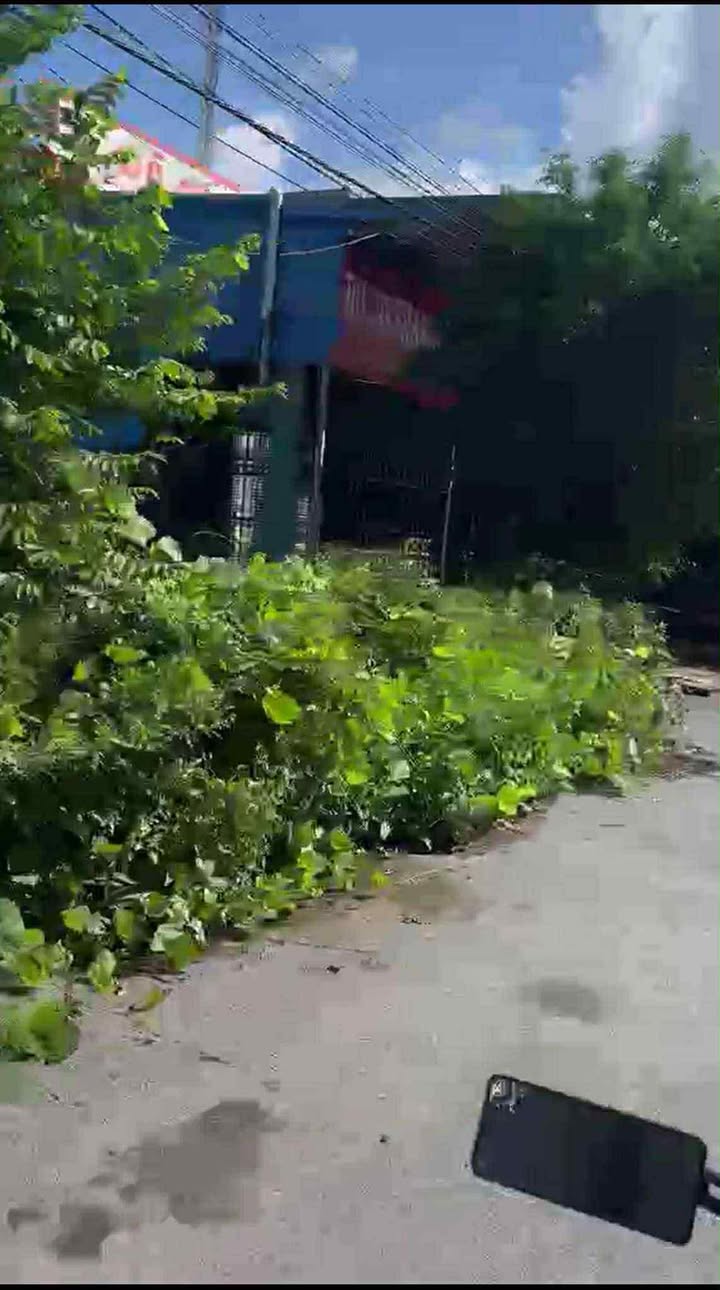 Đất nền mặt đường trục xã Yên Lương 100m² - Cơ hội đầu tư sinh lời!